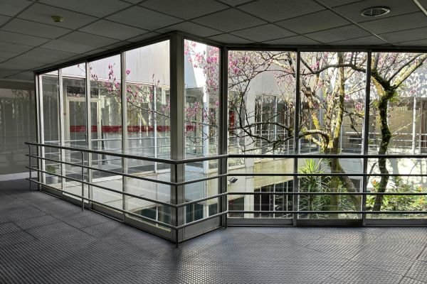 Commercial Window Tinting - Film Selection and Cut Preparation in Brisbane Northside